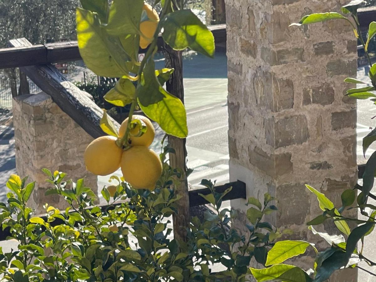 B&B Casa Limone Limone sul Garda Esterno foto