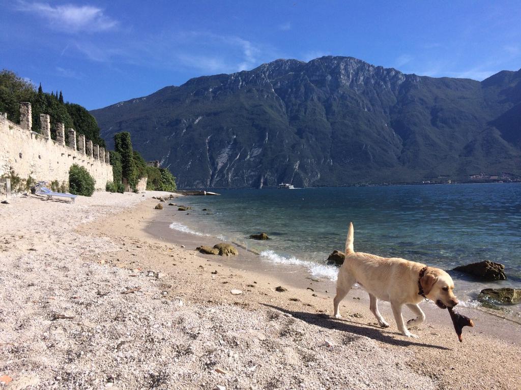 B&B Casa Limone Limone sul Garda Esterno foto